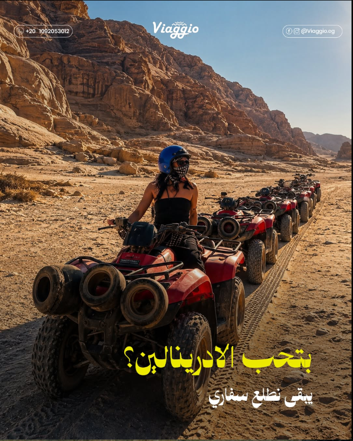 سفاري